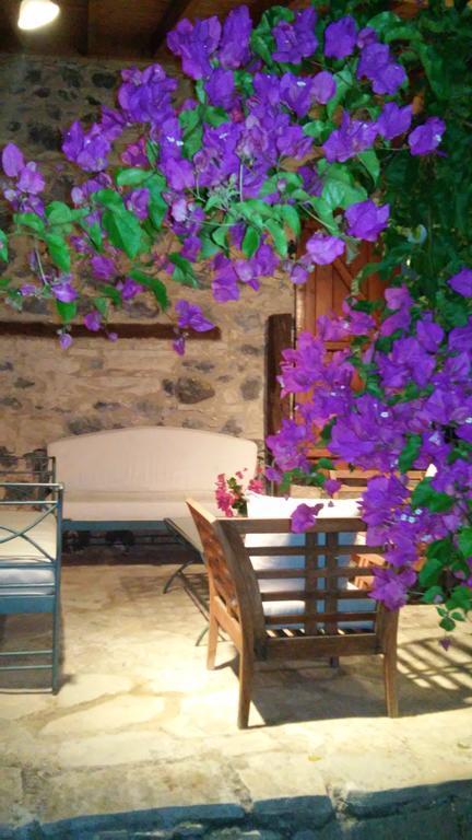Blue Cottage Apsiou Zewnętrze zdjęcie